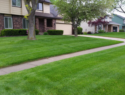 5 Best Practices for Lawn Care in Des Moines