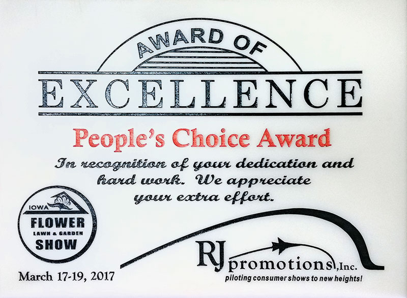 Award Of Excellence Peoples Choice 2017