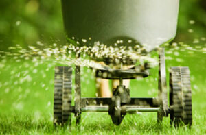 Lawn fertilizer service and maintenance