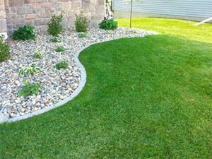 Lawn Care Trivia