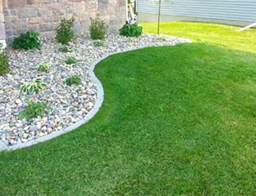 Excel Lawns & Landscape Shares Some Interesting Lawn Care Trivia that Everyone Should Know