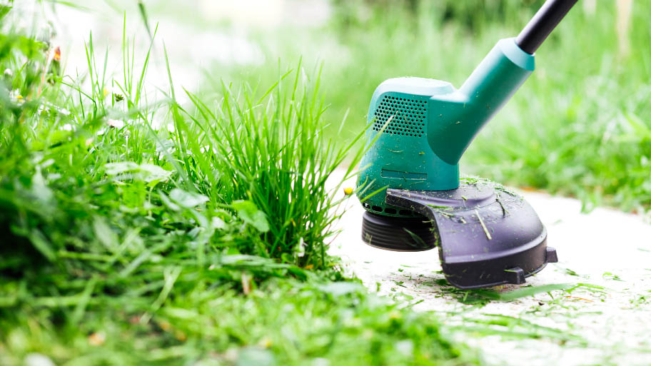 Interesting Lawn Care Trivia Interesting Lawn Care Trivia