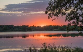 Maffitt Lake landscaping