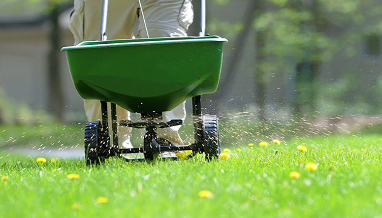 lawn-weed-and-feed-sized Lawn Treatment Service in Des Moines