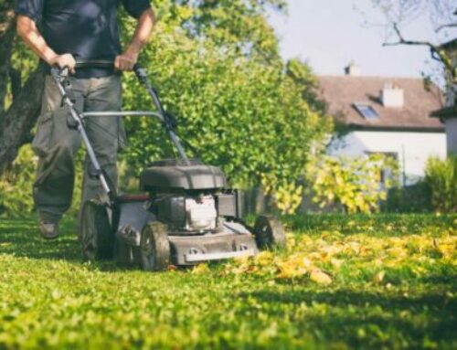How to Maintain Your Own Lawn in Des Moines Iowa
