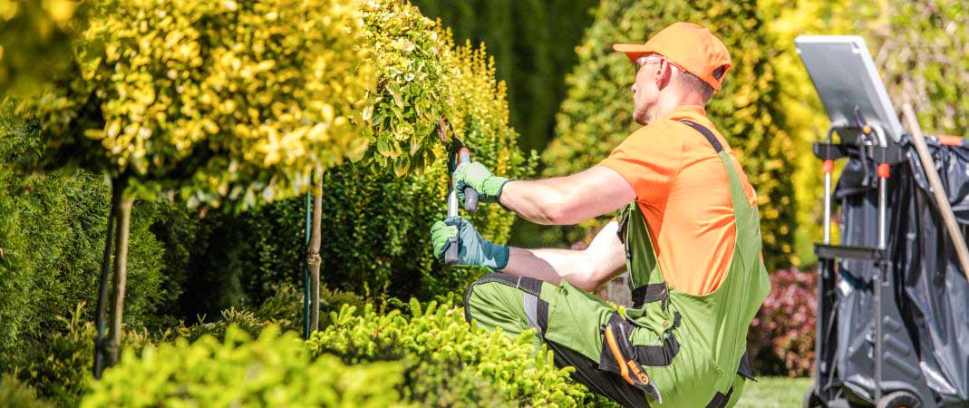 Lawn Care in West Des Moines IA Lawn Care in West Des Moines IA
