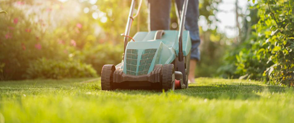Lawn Treatments in Urbandale IA Lawn Treatments in Urbandale IA
