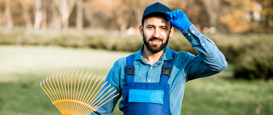 Landscaping in Urbandale IA Landscaping in Urbandale IA