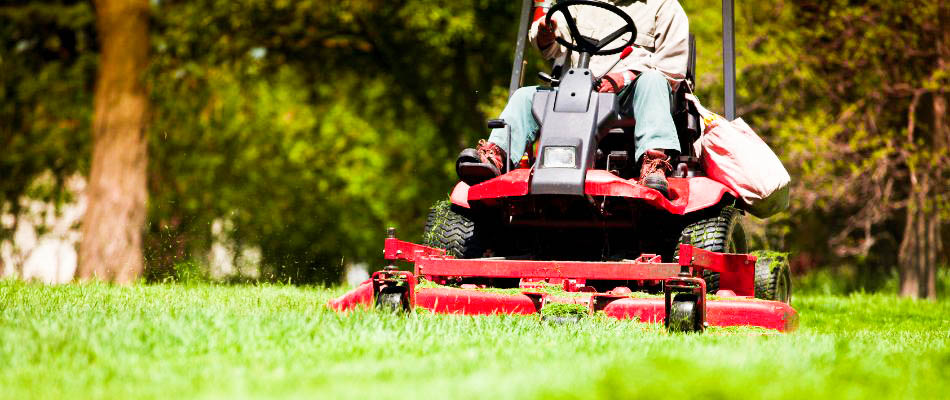 Lawn Treatments Clive IA Lawn Treatments Clive IA