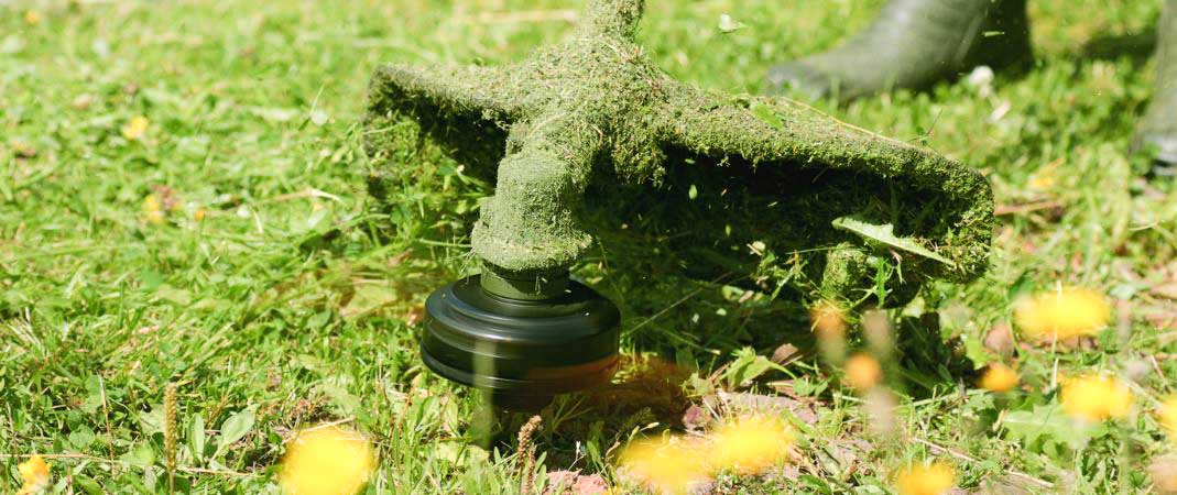 Lawn Care in West Des Moines IA Lawn Care in West Des Moines IA