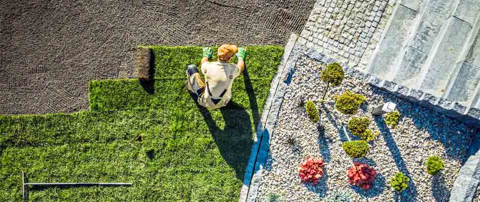 Lawn Treatments Clive IA Lawn Treatments Clive IA