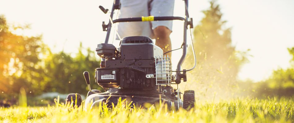 Landscaping in Urbandale IA Landscaping in Urbandale IA