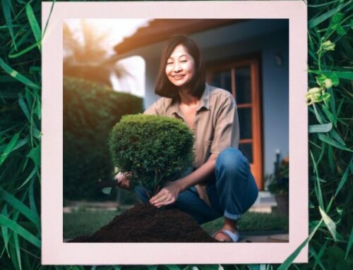 How to Landscape Your Home in Des Moines, Iowa