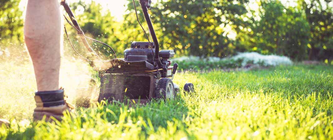 Lawn Treatments in West Des Moines IA