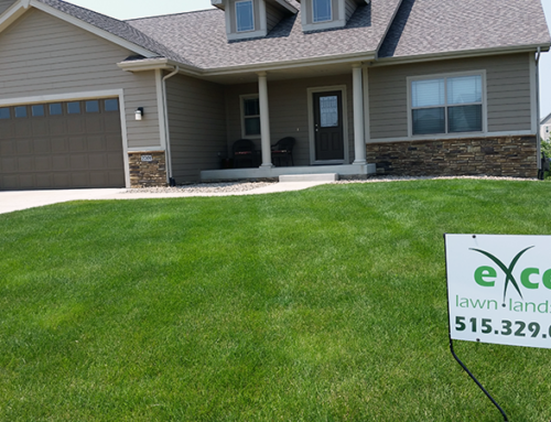 Achieving that Perfect Urbandale Lawn in 5 Steps