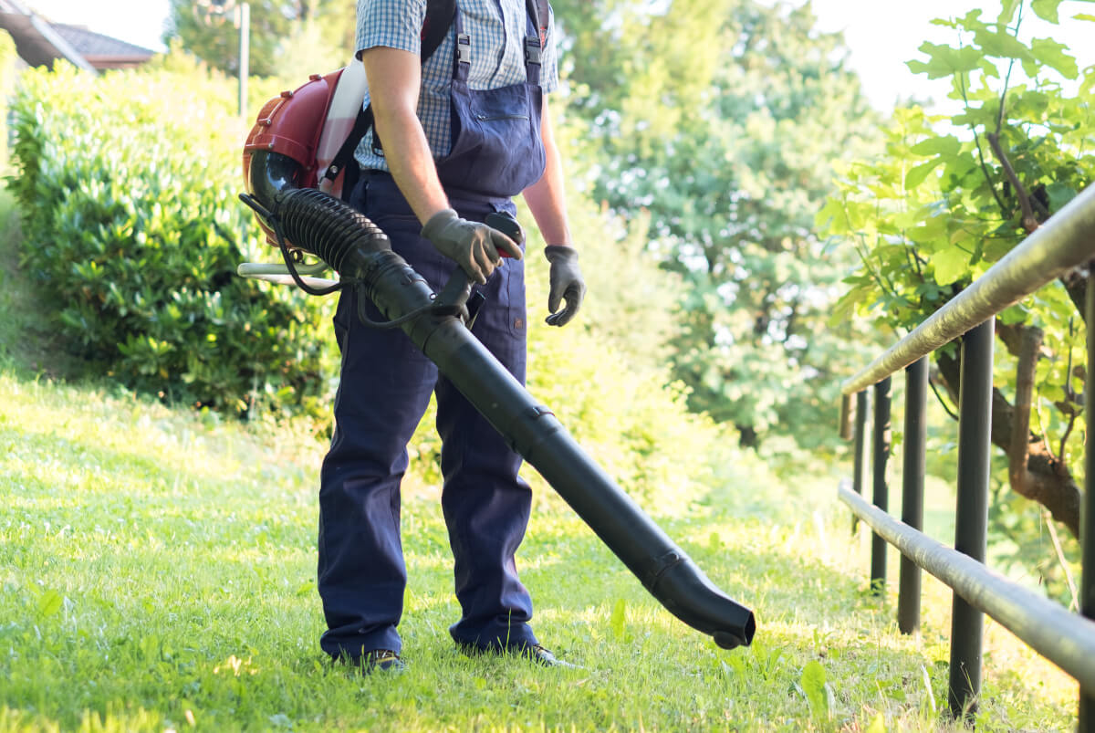 Fall clean up service