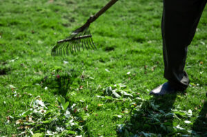 Leaf removal service