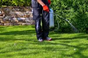 Lawn treatments in Altoona, IA | Excel Lawns & Landscape Des Moines, IA