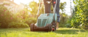 Lawn Care in Windsor Heights 