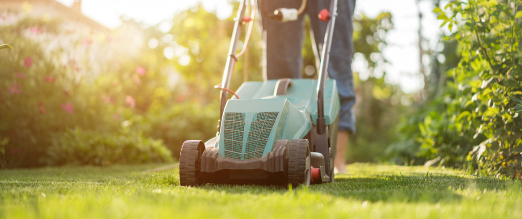 Altoona, IA Lawn and Landscaping Services