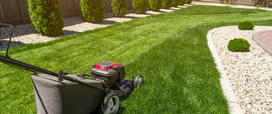 Lawn and Landscaping Services in Norwalk