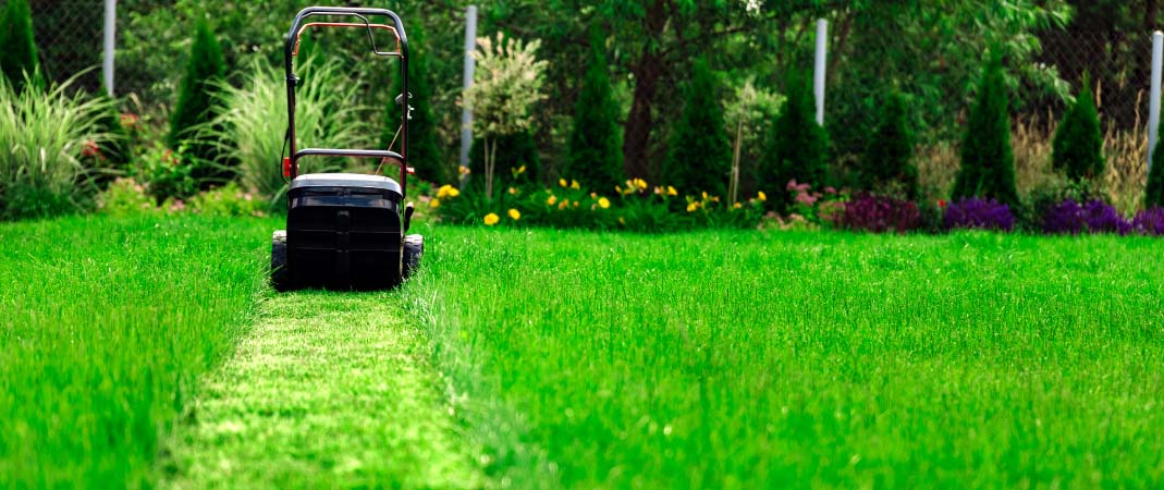 Lawn and Landscaping Services in Des Moines | Excel Lawns & Landscape