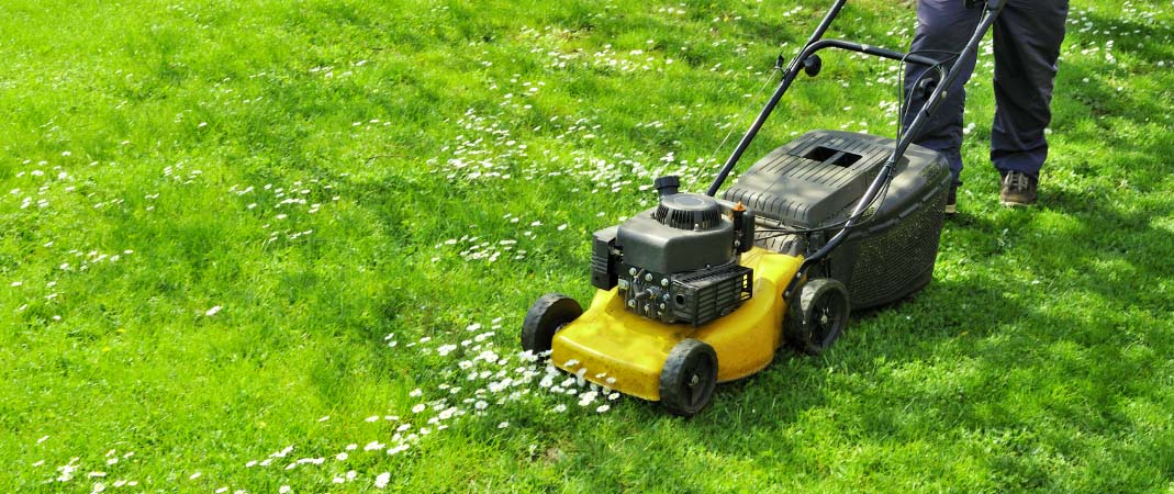 Lawn Care in Clive