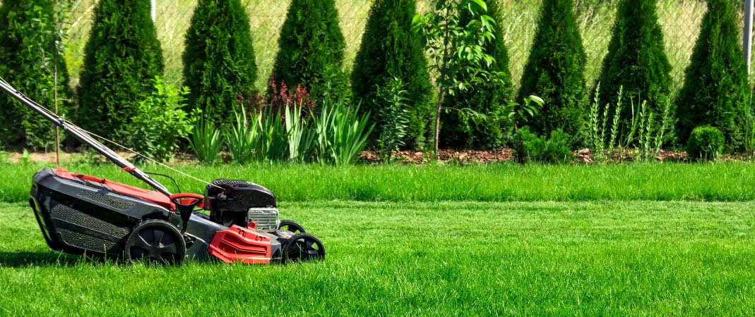 Lawn Care in Clive