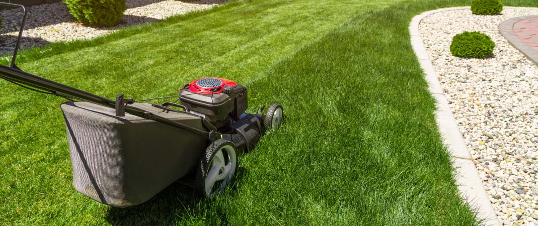 Lawn Treatments in Clive IA