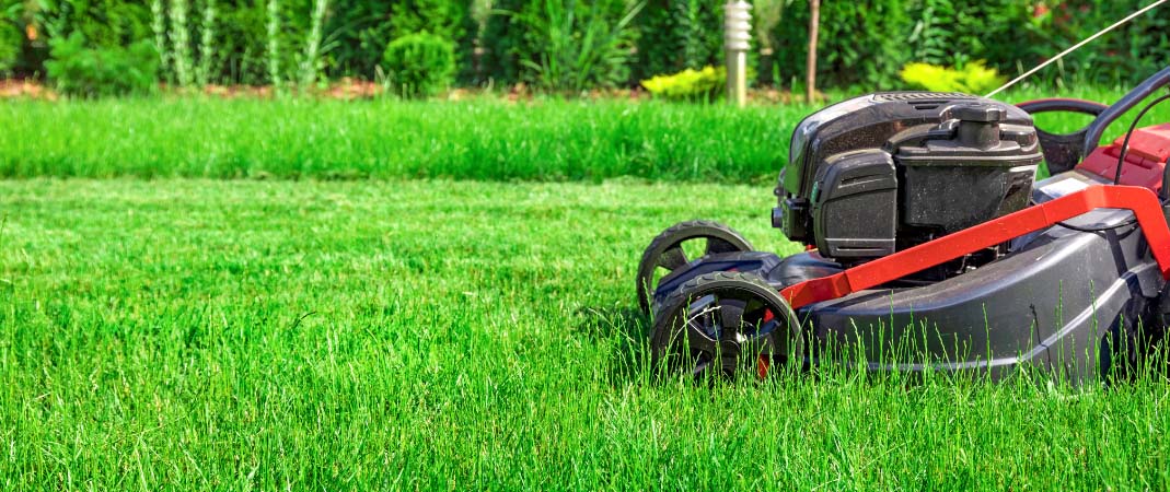 Lawn Treatments in Urbandale