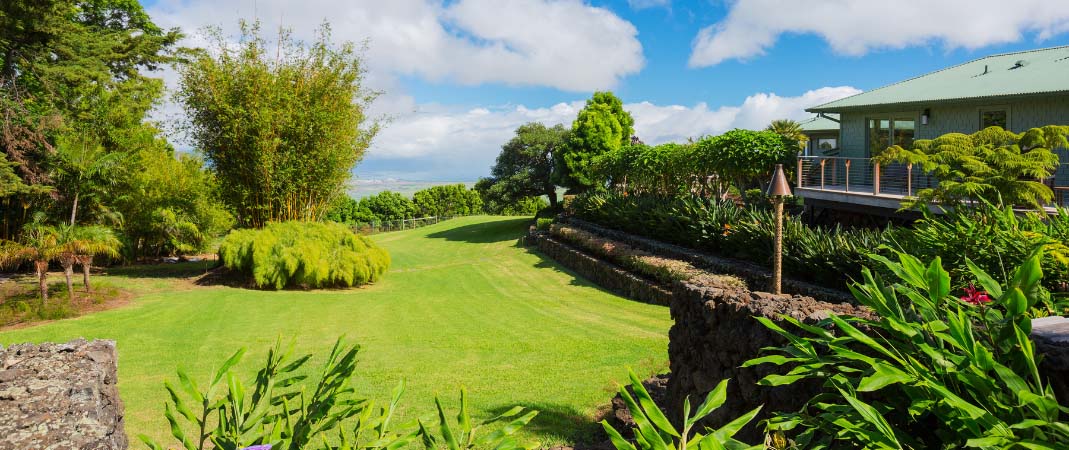 Clive Lawn and Landscaping Services Clive Lawn and Landscaping Services