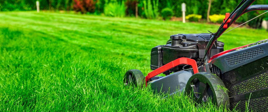Lawn Care in Urbandale