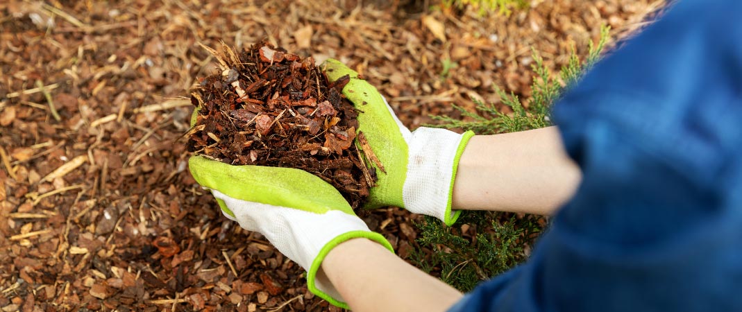 Landscaping in Urbandale