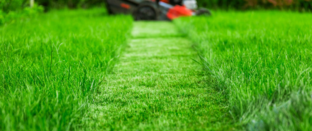 Lawn Care in Urbandale