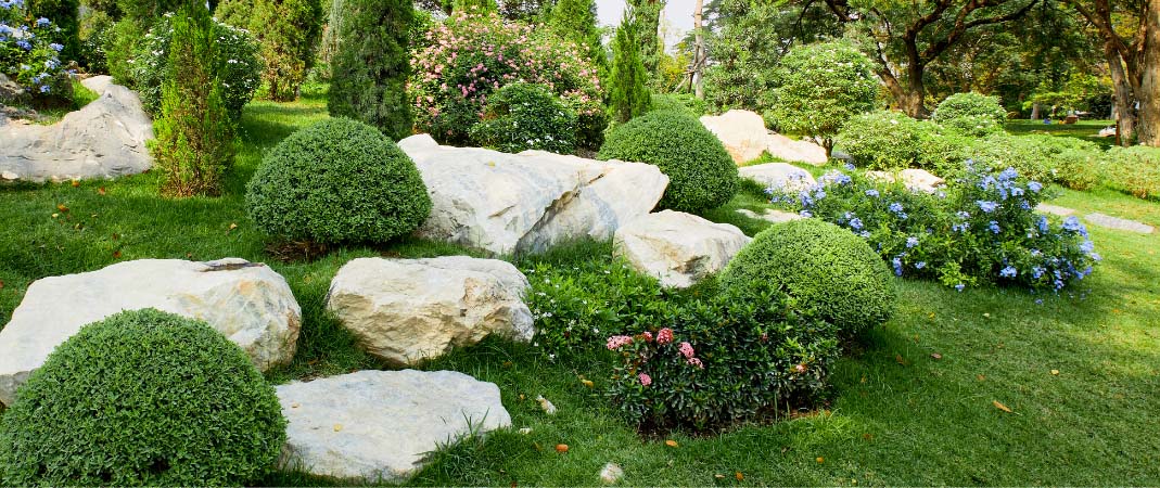 Landscaping in Urbandale