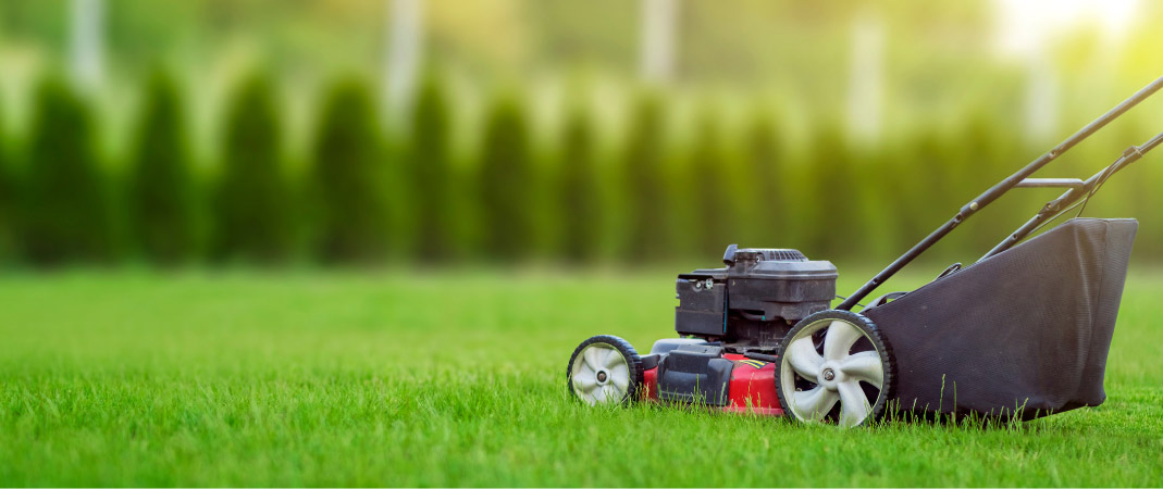 Lawn and Landscaping Services in Windsor Heights