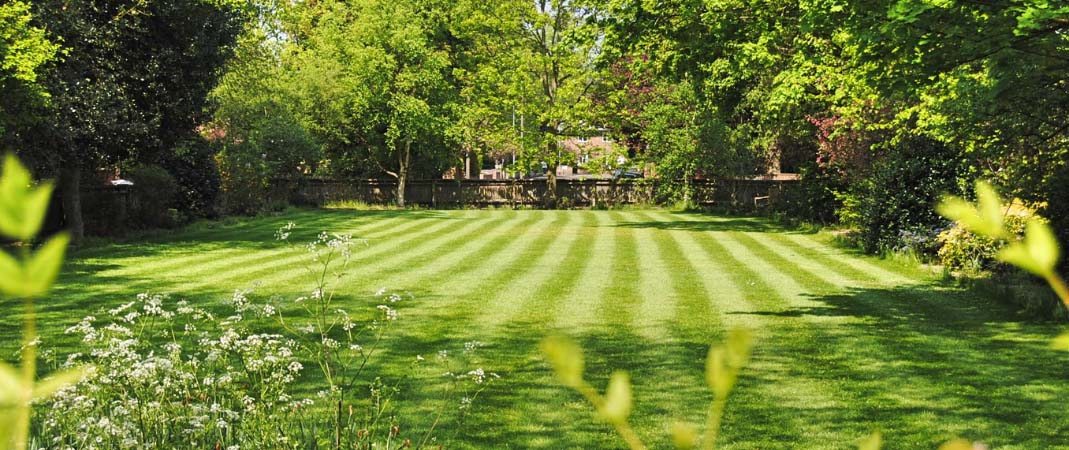 Lawn Treatments in Clive IA