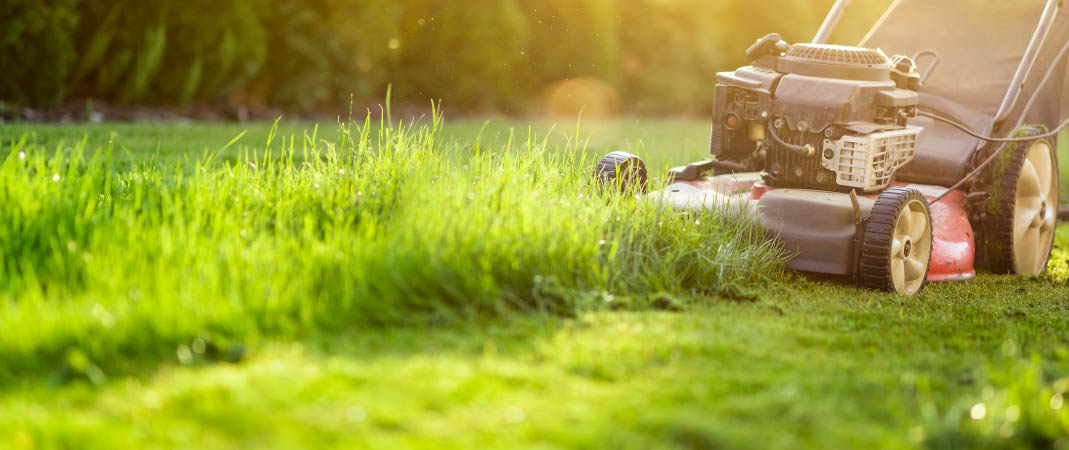 Mowing Service in Des Moines, IA