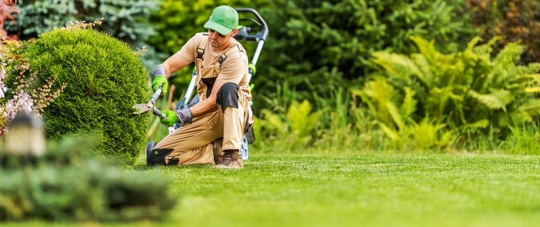 Landscaping Service in Ankeny, IA