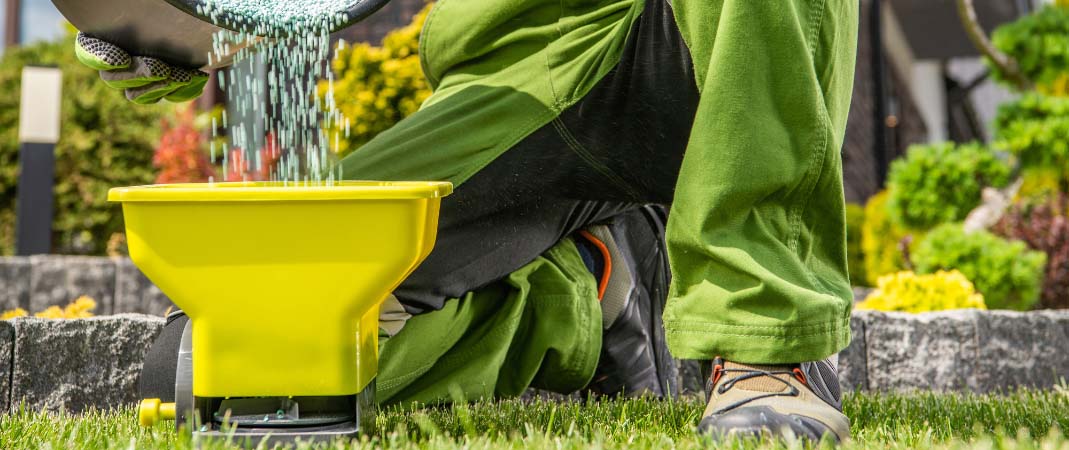 Fertilization Service in Waukee Fertilization Service in Waukee