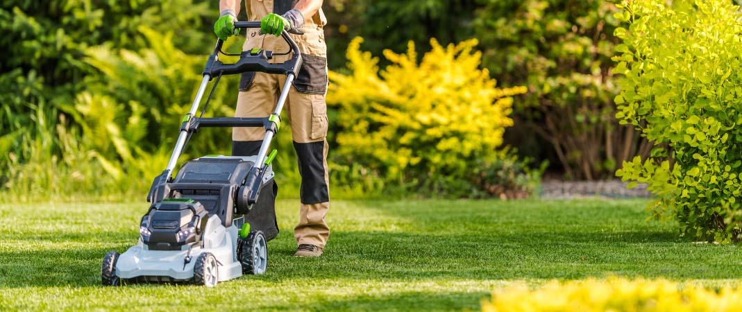 Lawn Clean Up Services in Ankeny, IA