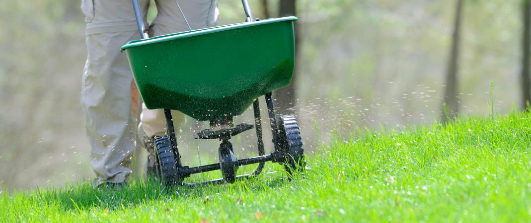 Fertilization Service in Altoona, IA Fertilization Service in Altoona, IA