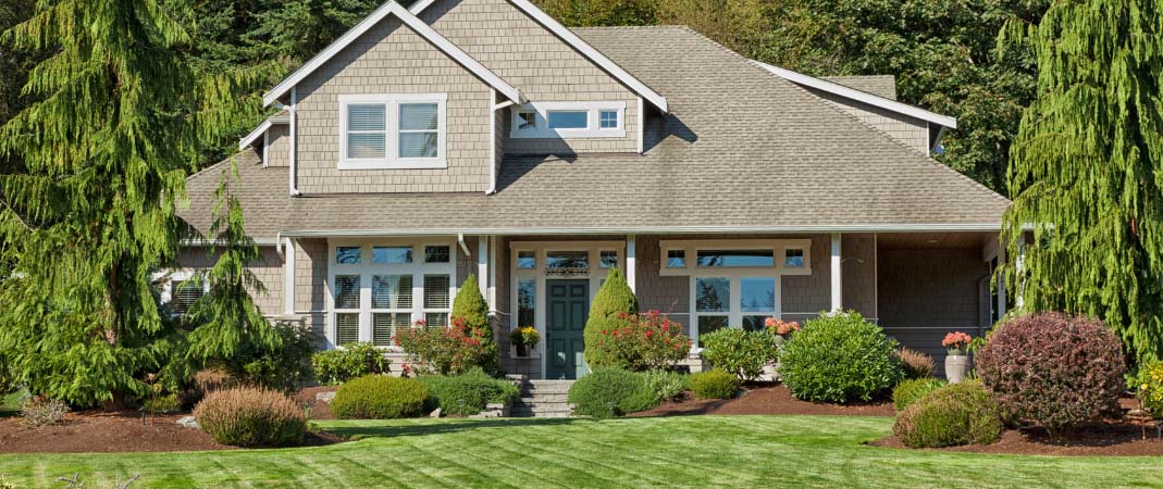 Lawn Clean Up Services in Ankeny, IA