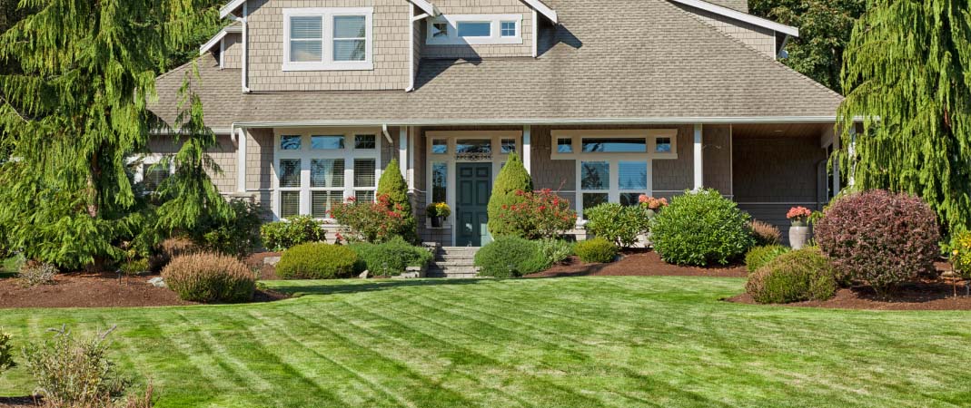 Fertilization Service in Waukee, IA and Lawn Care Fertilization Service in Waukee