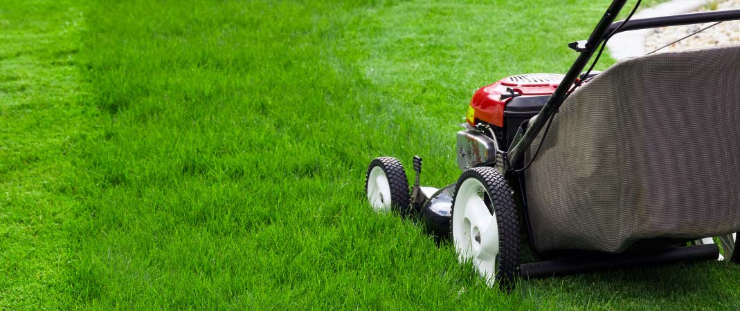 Mowing Service in Windsor Heights