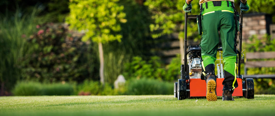 Lawn Care Services in Johnston