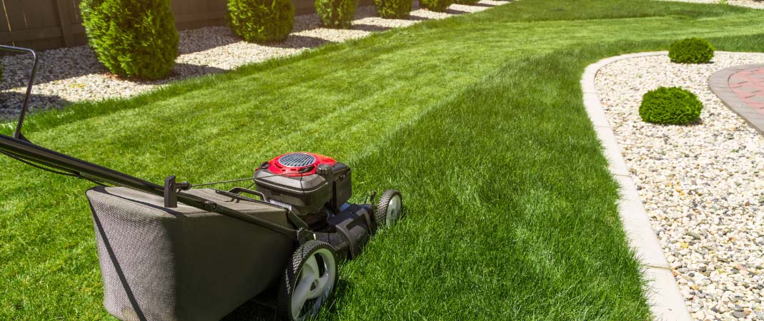 Lawn Care Services in Altoona, IA