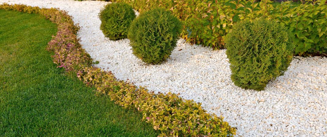 Lawn Care Services in Waukee, IA
