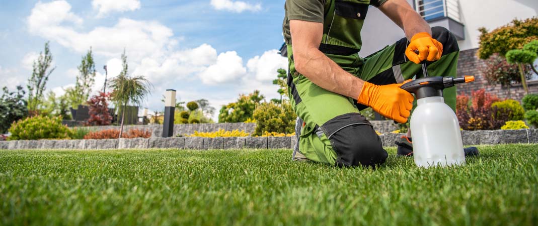 Lawn Care Services in Ankeny, IA