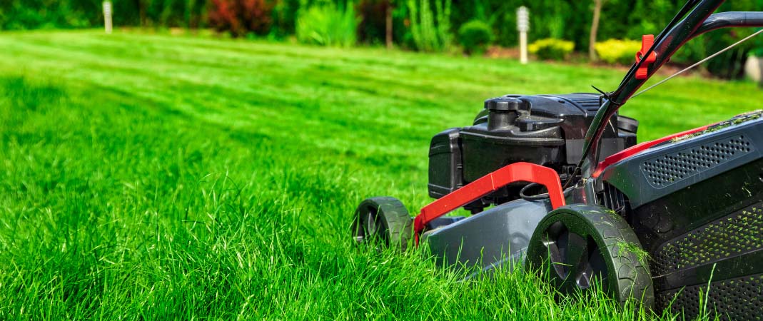 Lawn Mowing Mowing Service in Waukee
